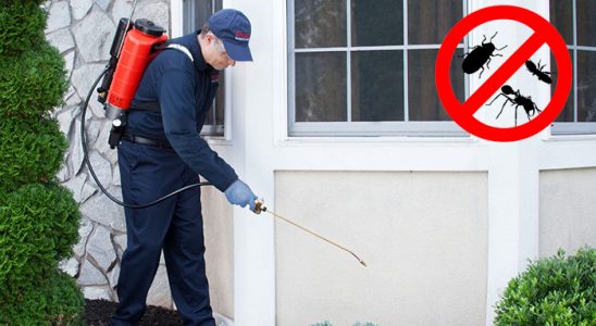 Bursa Böcek İlaçlama böcek ilaçlama ve haşere kontrolü — ilaclama-tr.com